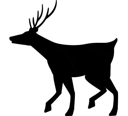 鹿